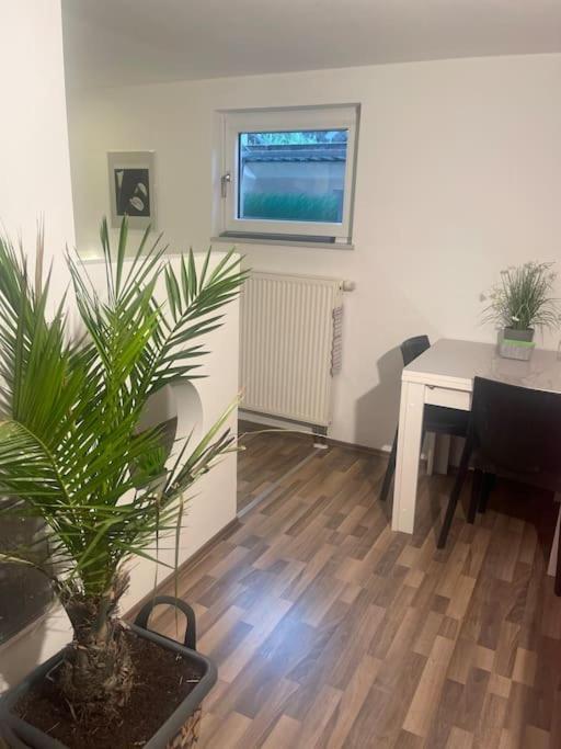 Gemuetliches Einliegerapartment, 50 Qm Trippstadt Exterior photo